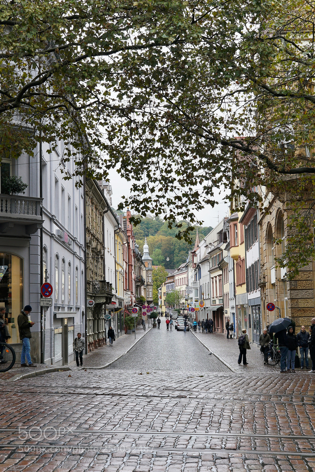 Sony a7R II sample photo. Freiburg, germany photography