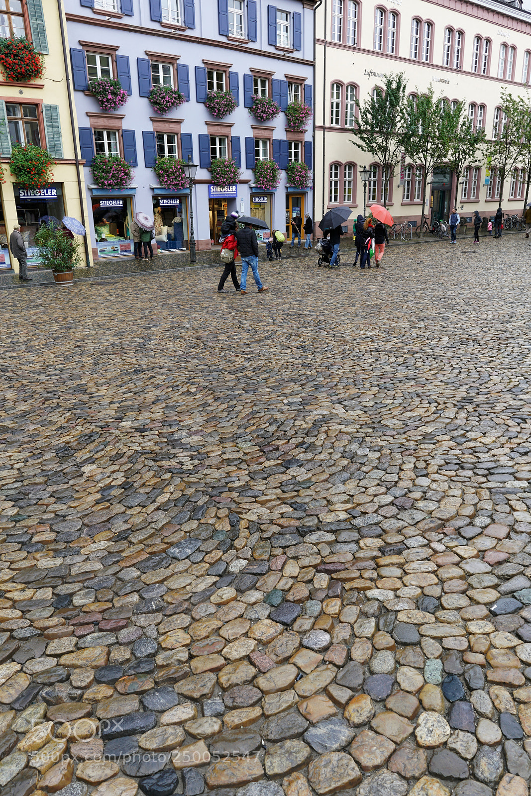 Sony a7R II sample photo. Freiburg, germany photography
