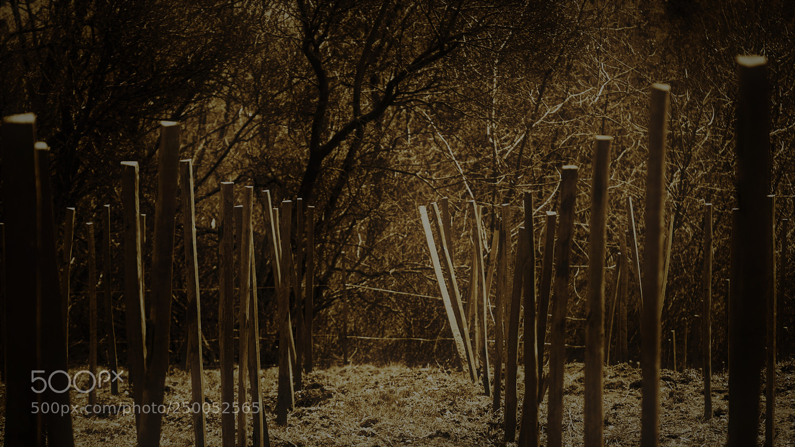 Nikon D3200 sample photo. Untitled photography
