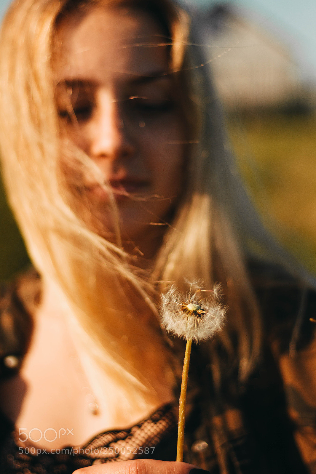 Canon EOS 60D sample photo. Mg photography