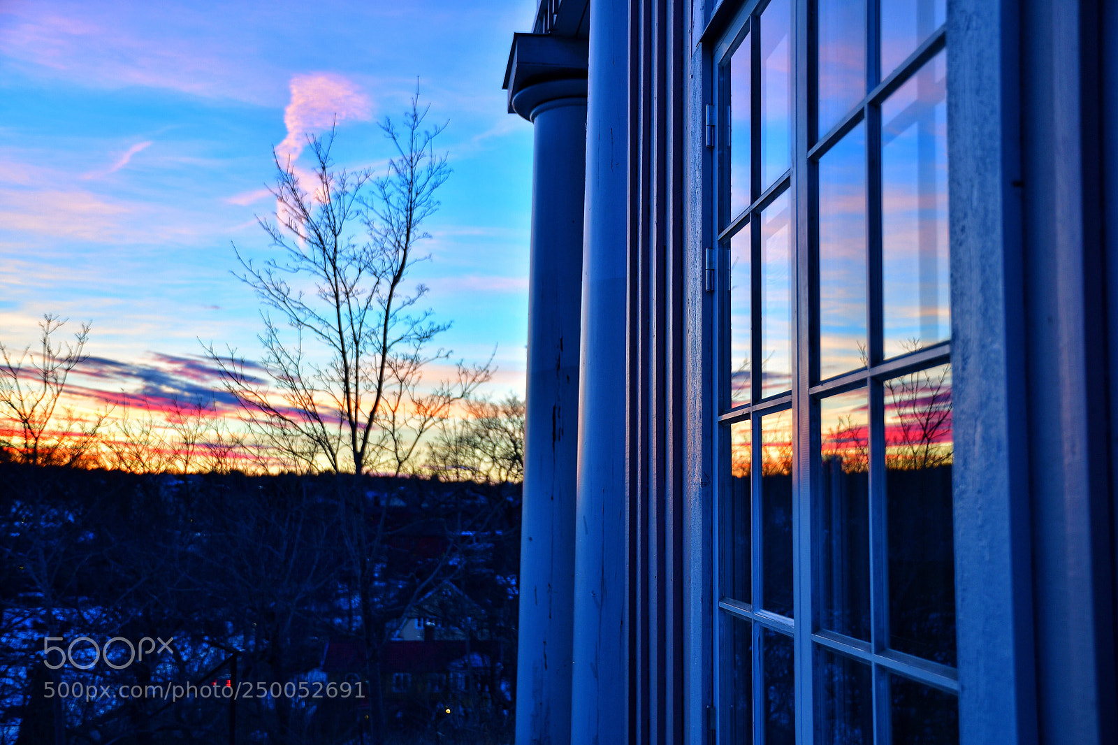 Nikon D500 sample photo. Untitled photography