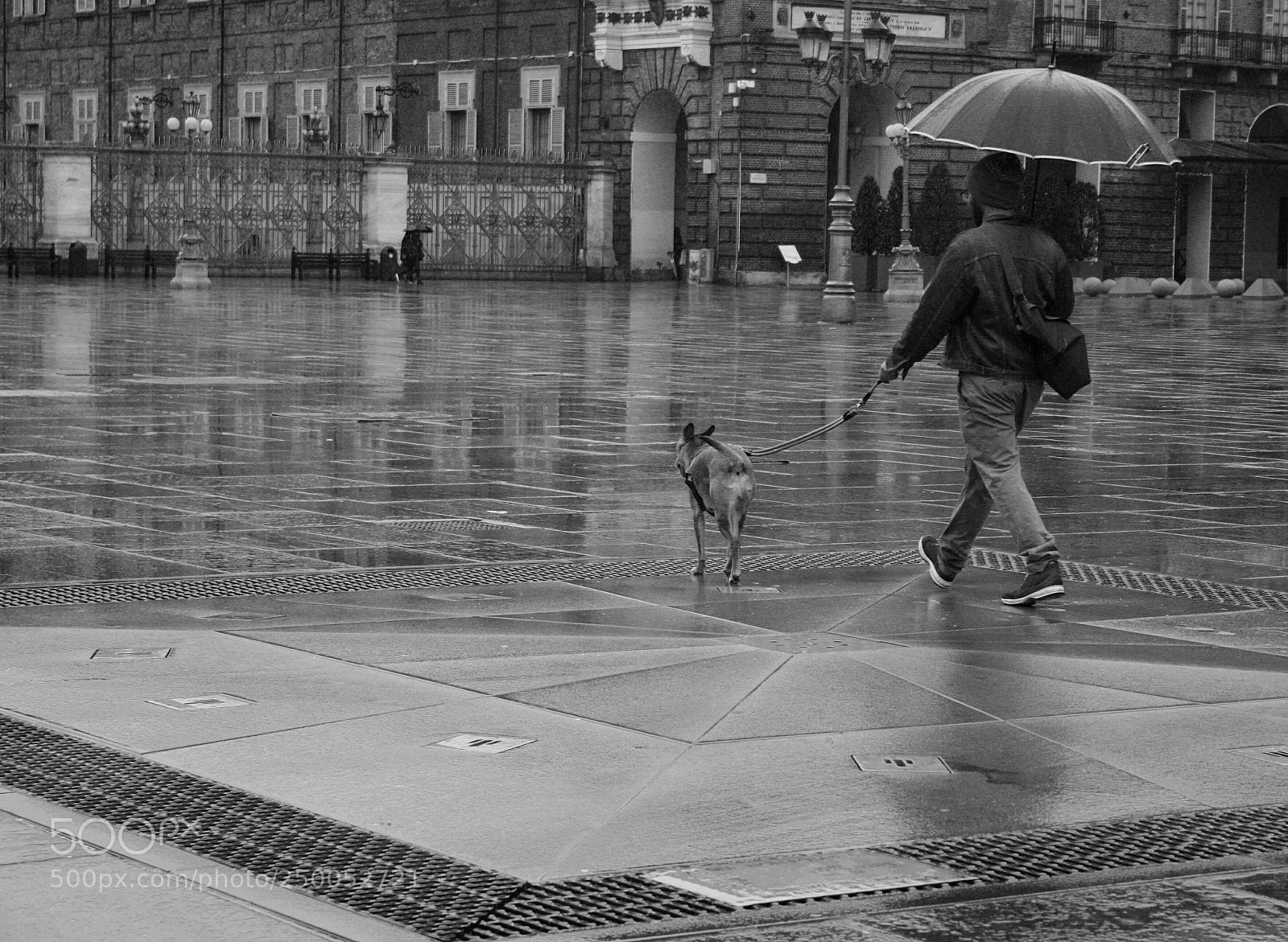 Canon EOS 400D (EOS Digital Rebel XTi / EOS Kiss Digital X) sample photo. Rain photography