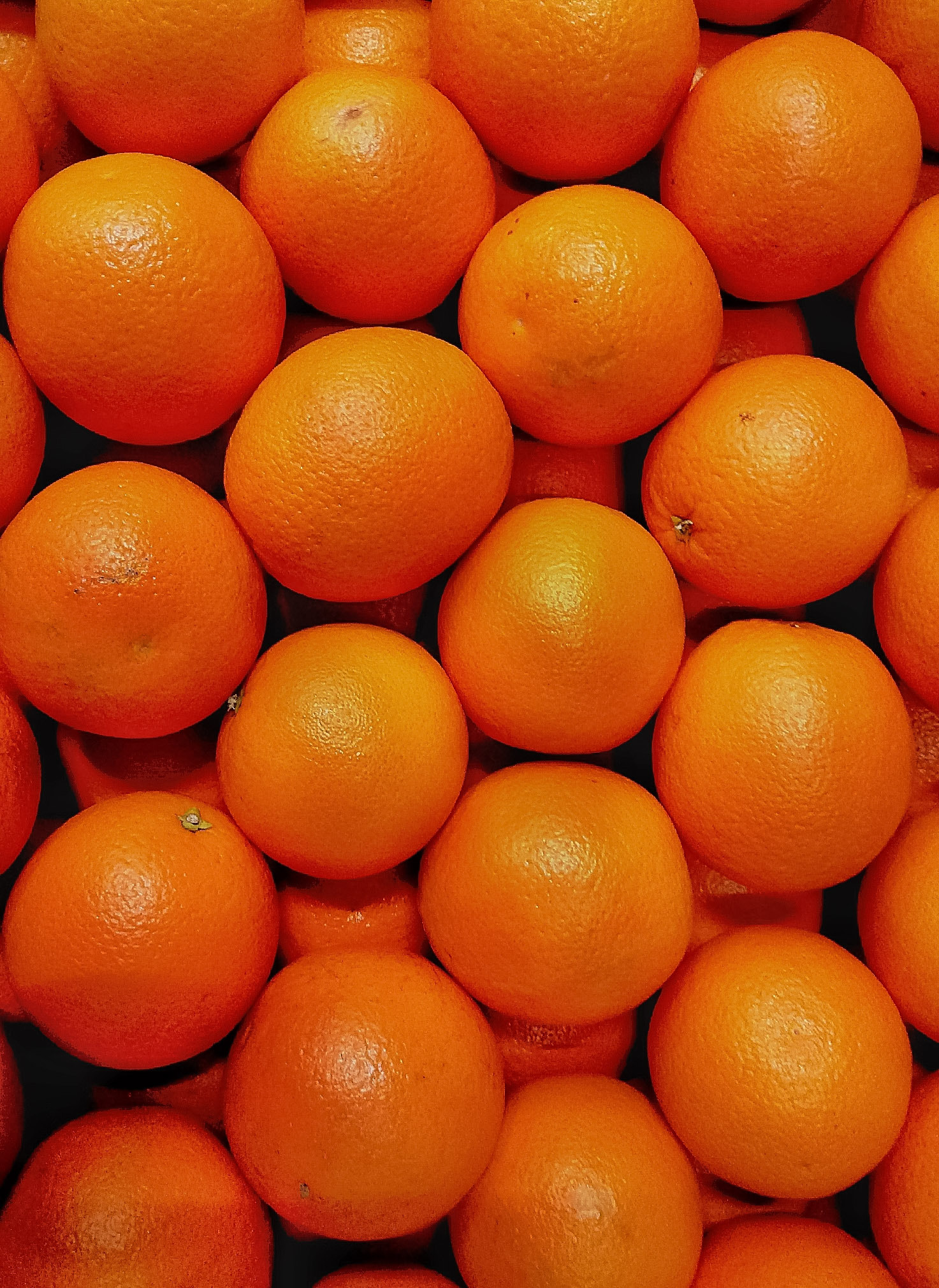 LG K10 (2017) sample photo