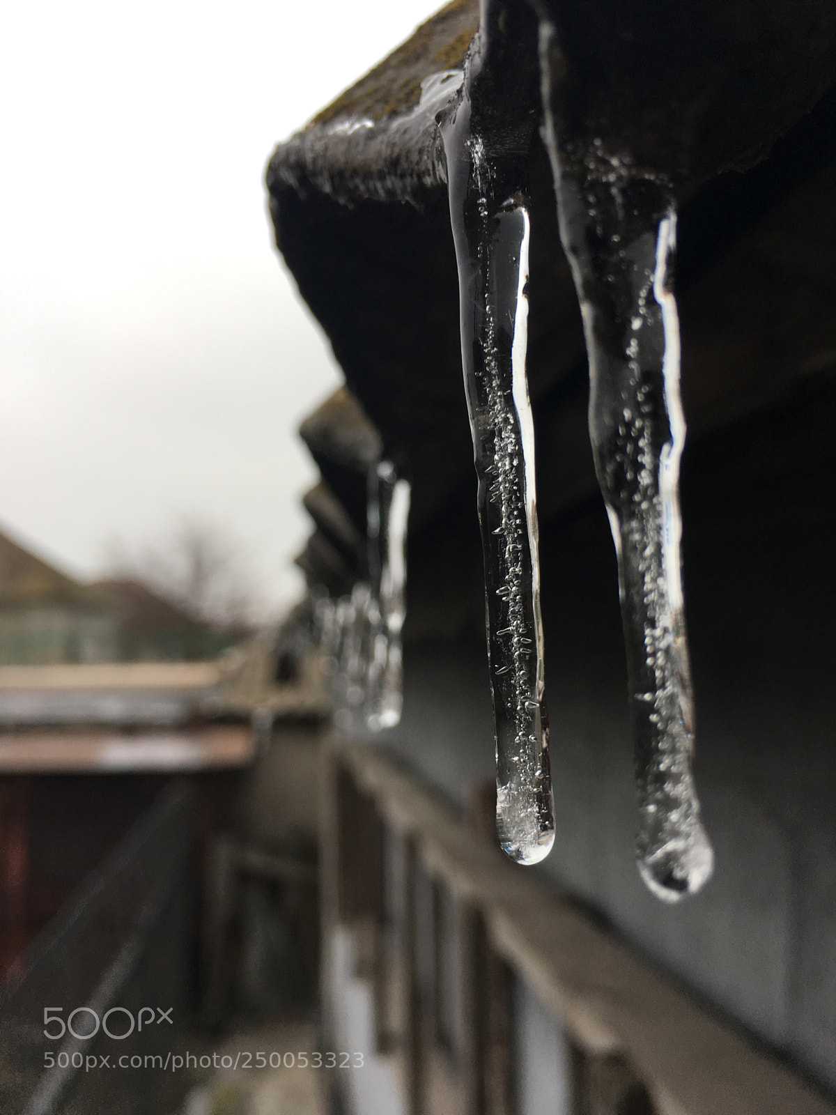 Apple iPhone 6s Plus sample photo. #lcicle photography