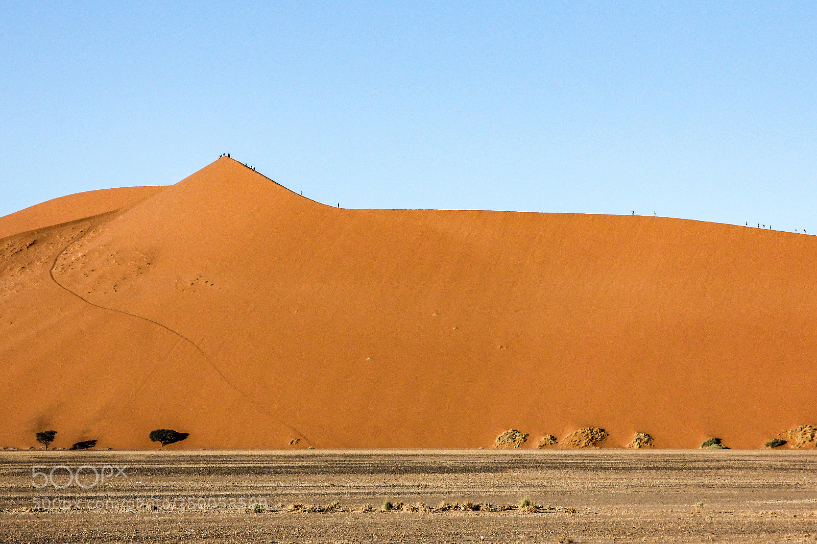 Canon EOS 60D sample photo. Namib desert photography