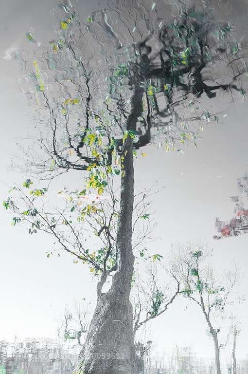 Nikon D300S sample photo. Reflection  photography
