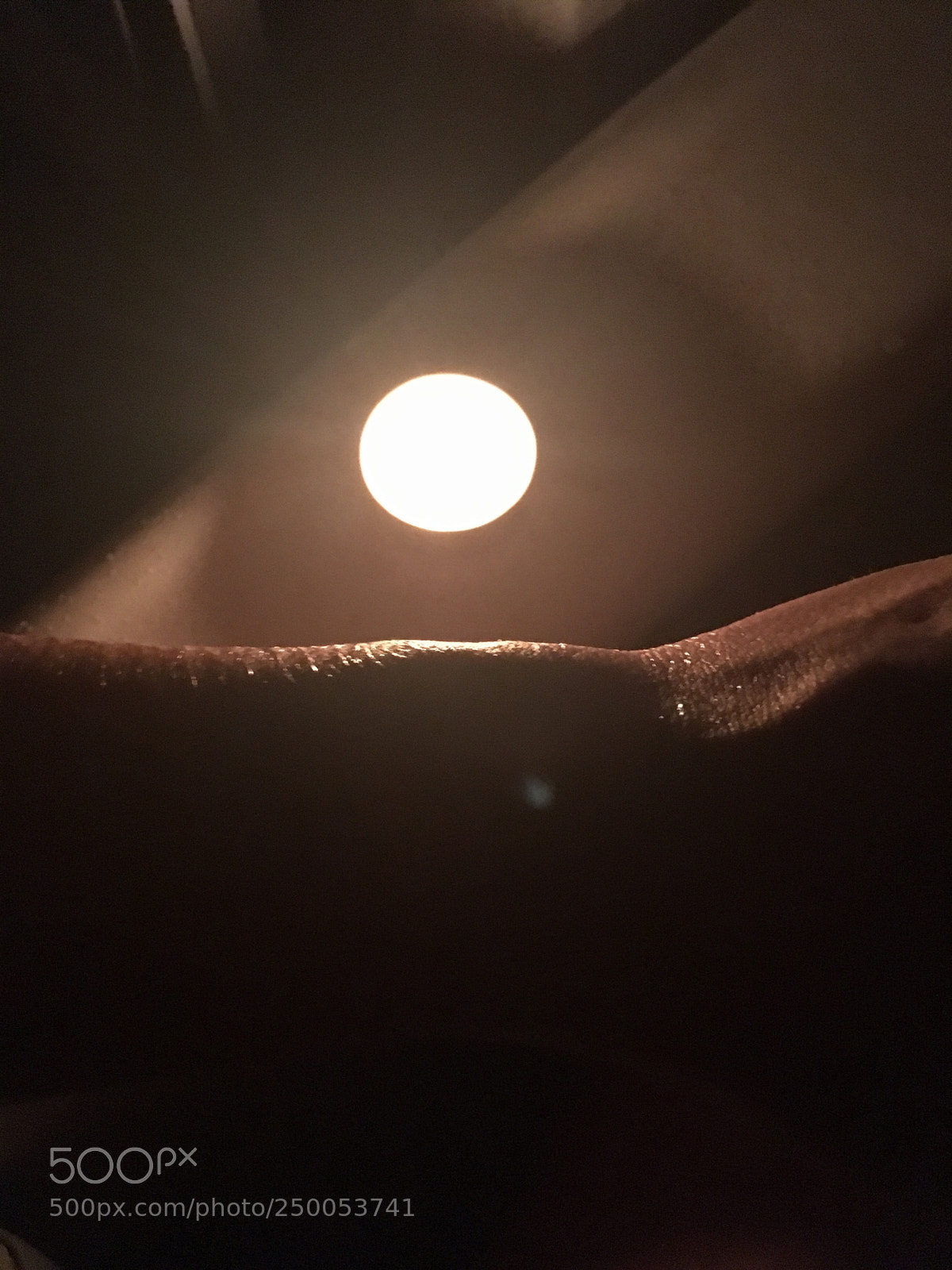 Apple iPhone SE sample photo. Untitled photography
