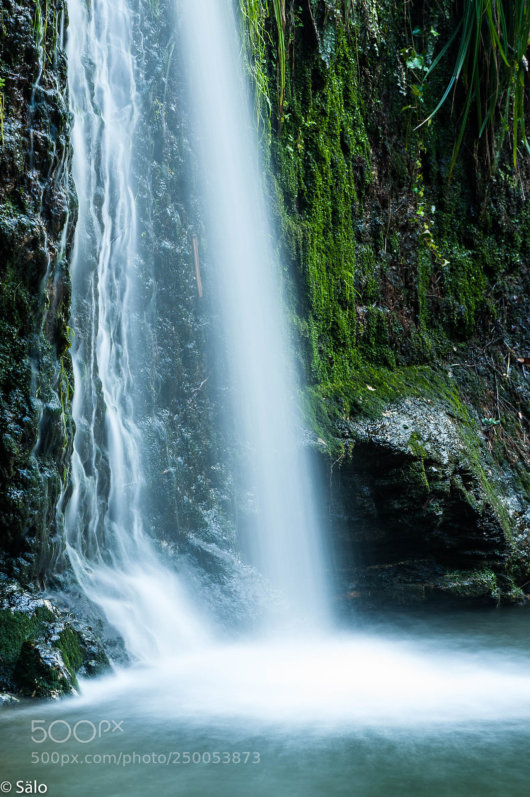 Nikon D700 sample photo. La rierada photography