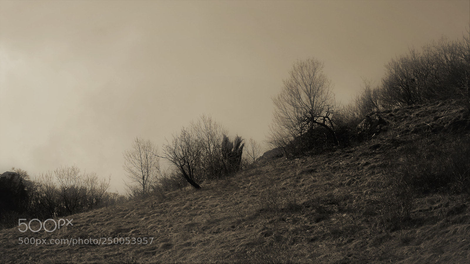 Nikon D3200 sample photo. Untitled photography