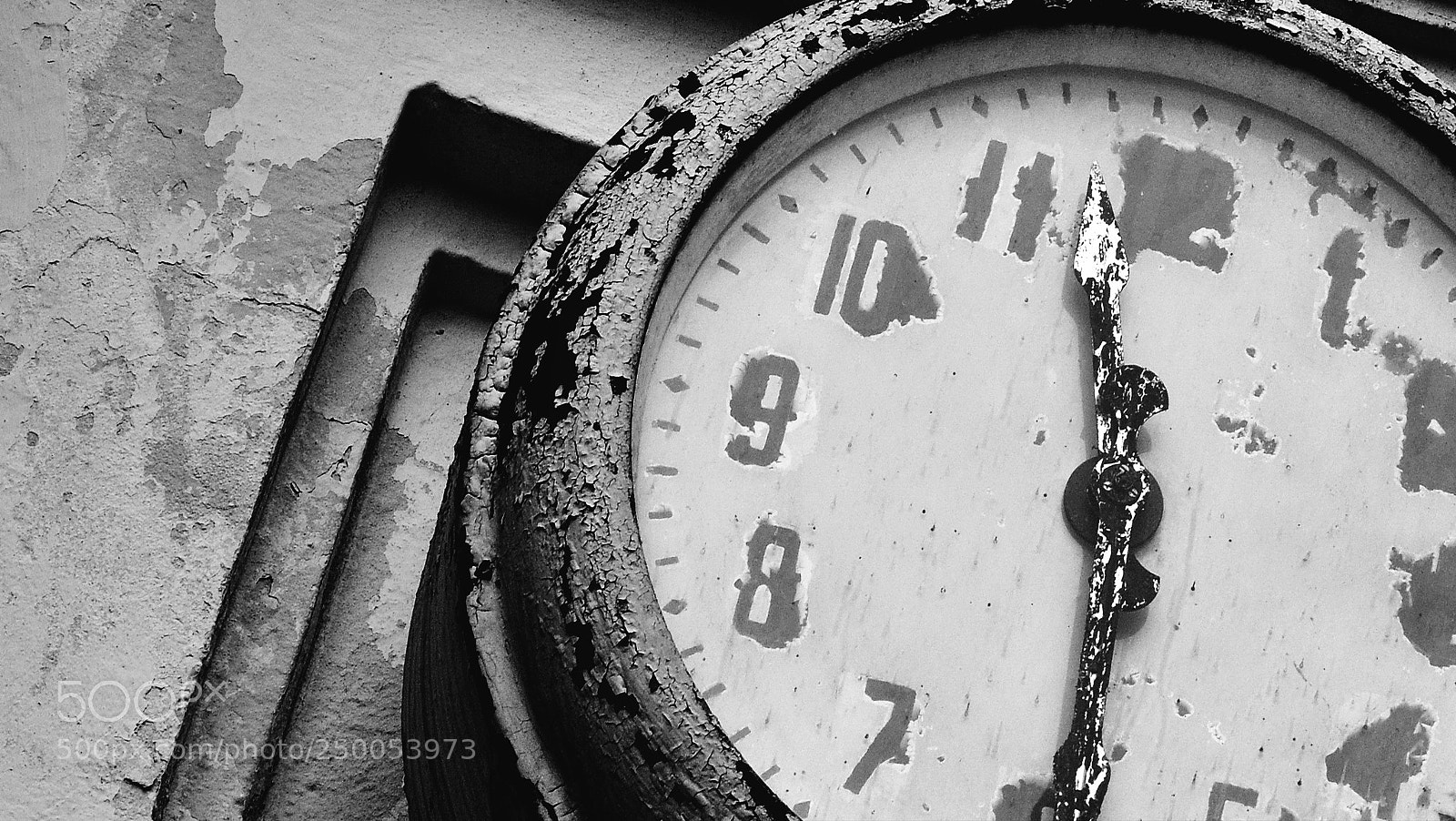Nikon D90 sample photo. 11 30 photography