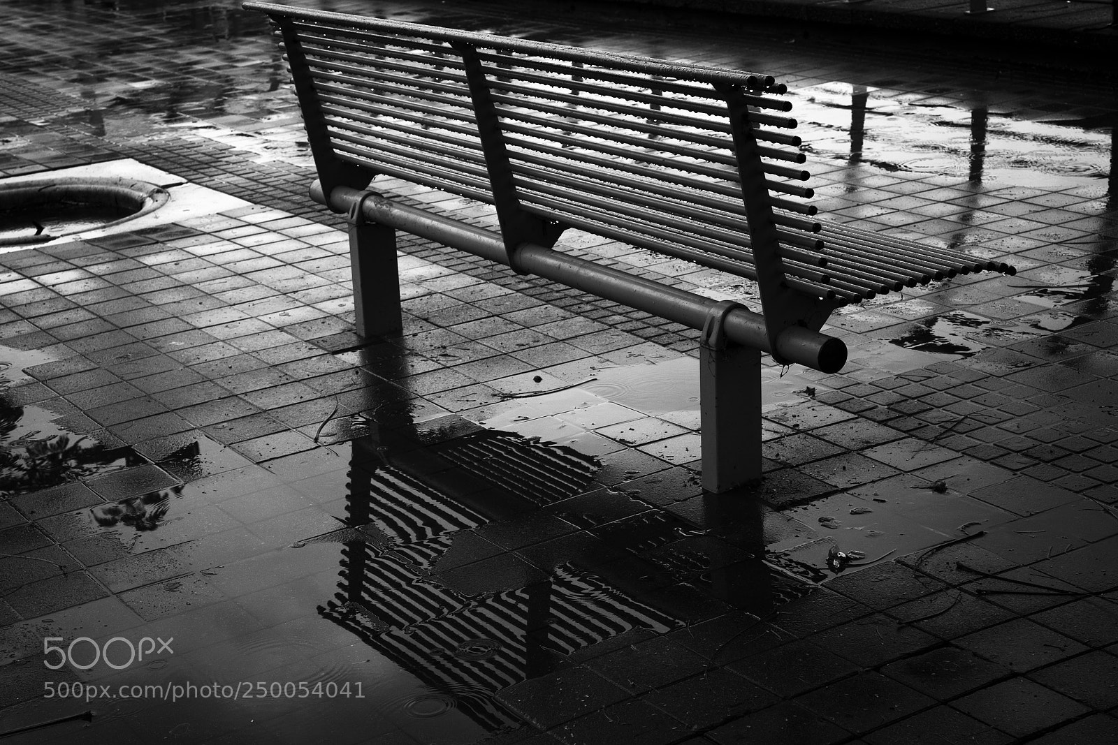 Fujifilm X-T2 sample photo. Wet day photography