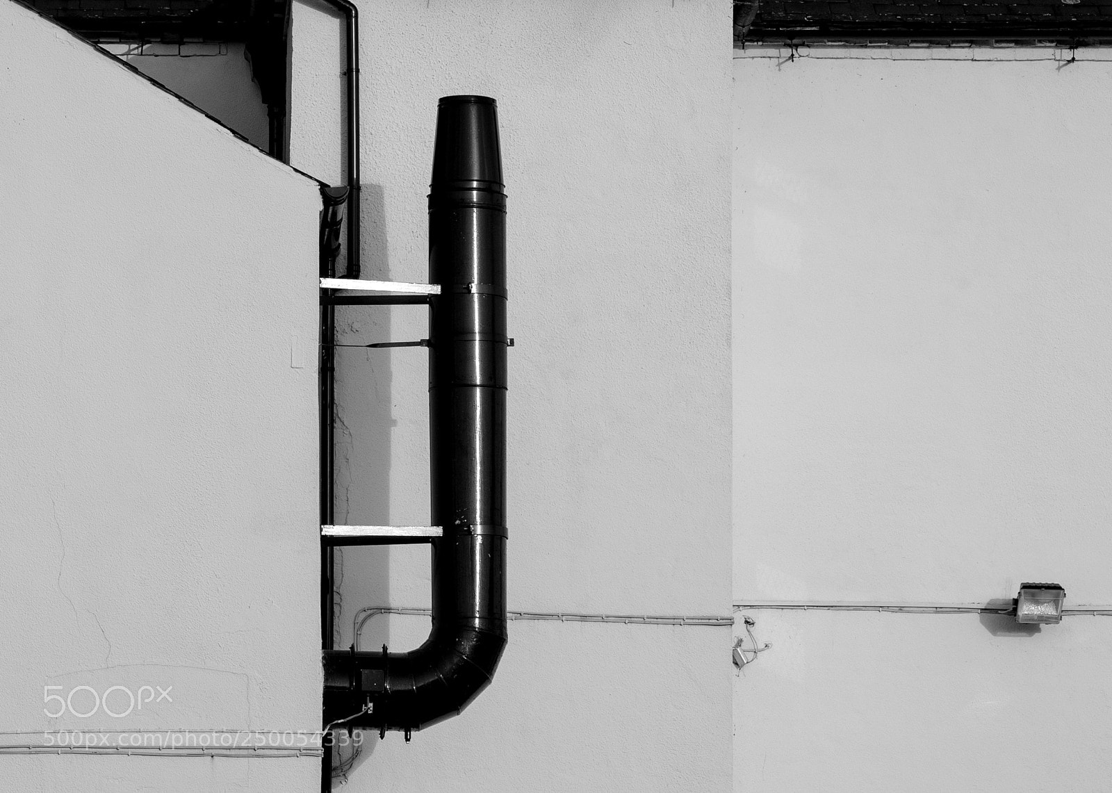 Nikon D810 sample photo. Flue photography
