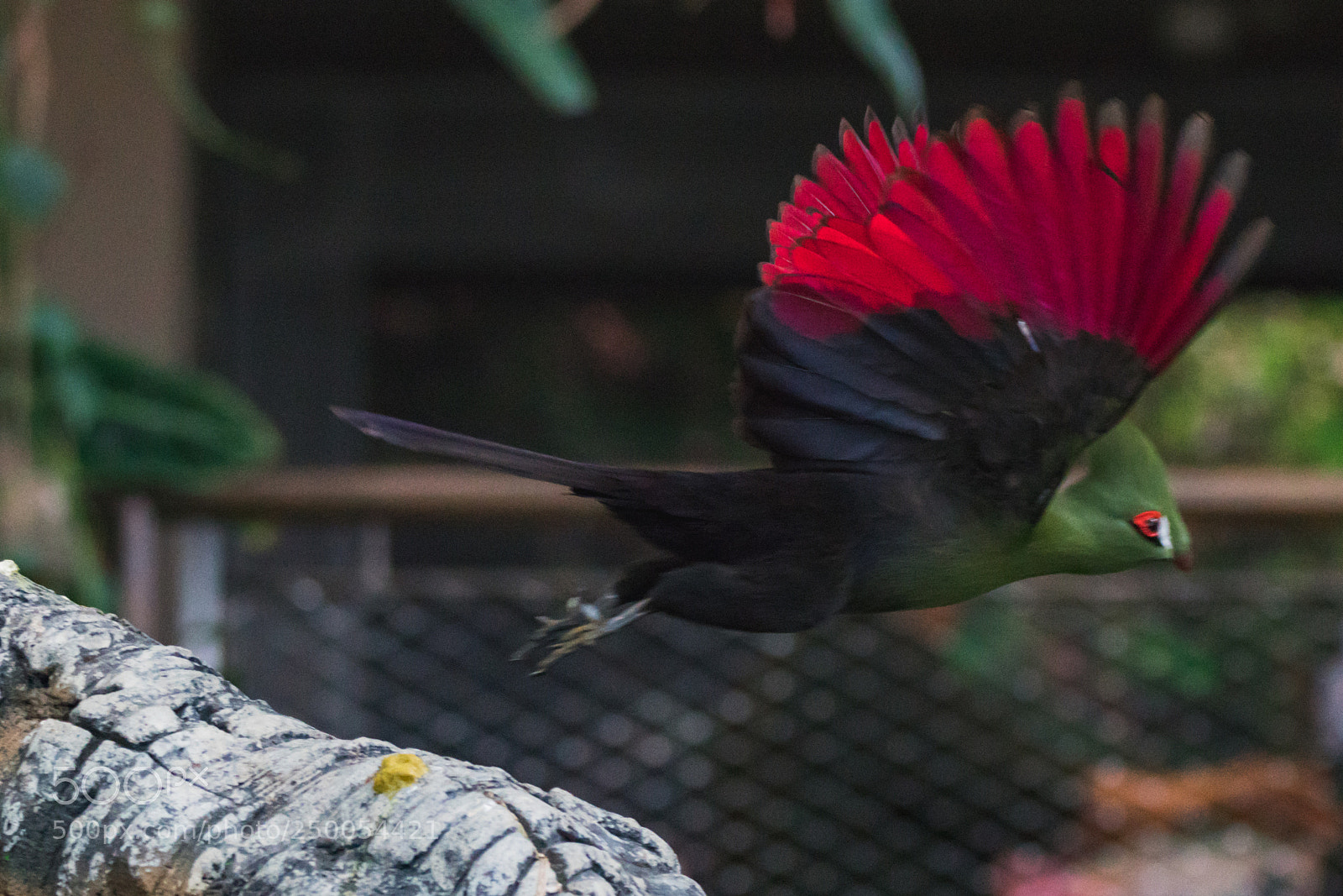 Sony a6500 sample photo. Take a leap photography