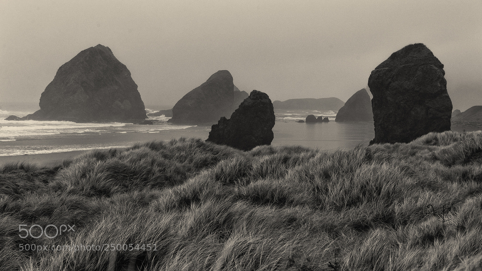 Canon EOS-1D X Mark II sample photo. Stormy travels photography