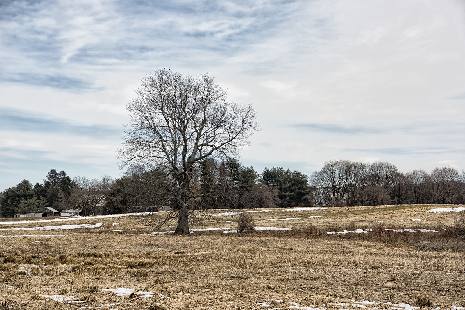 Nikon D810 sample photo. Almost springtime in new photography