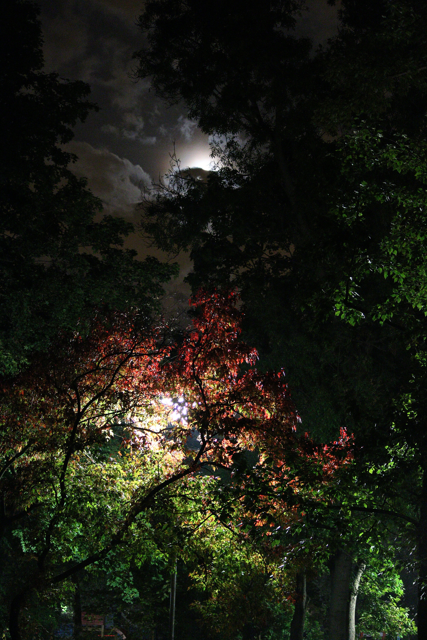 Canon EOS 70D + Canon EF 28mm F2.8 sample photo. Night moon photography