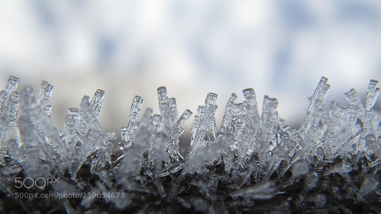 Canon PowerShot SX50 HS sample photo. Ice crystals on my photography