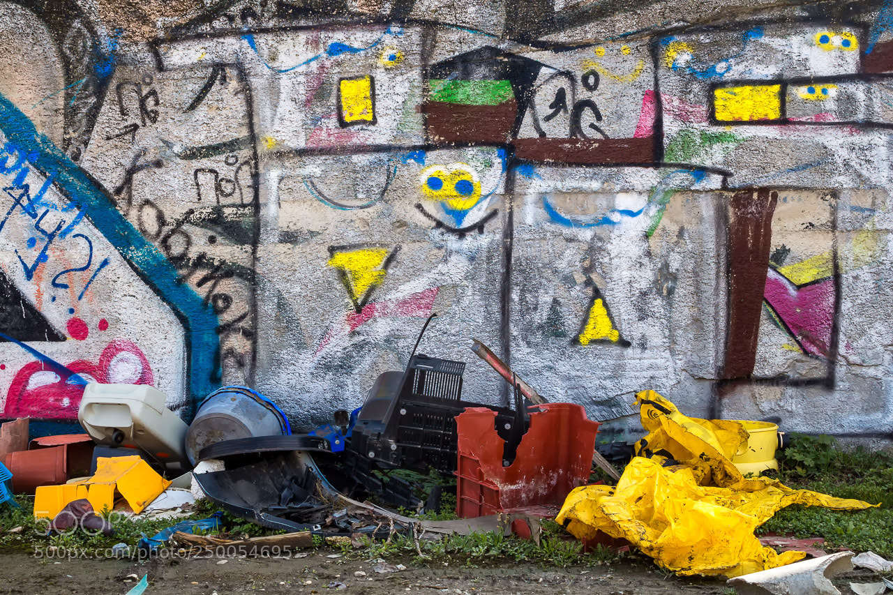 Canon EOS 700D (EOS Rebel T5i / EOS Kiss X7i) sample photo. Harmony of decay photography