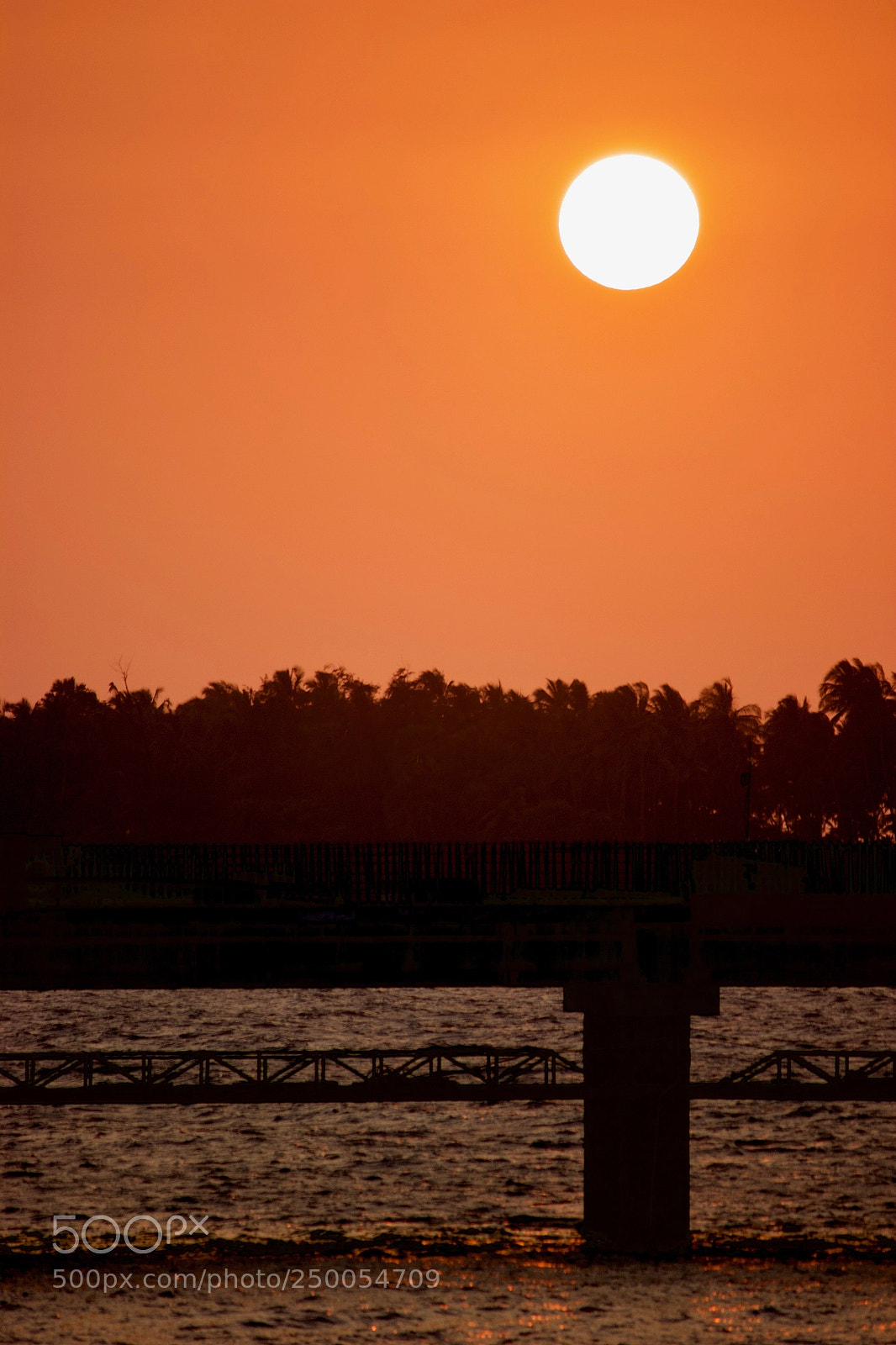 Canon EOS 600D (Rebel EOS T3i / EOS Kiss X5) sample photo. Path to paradise photography