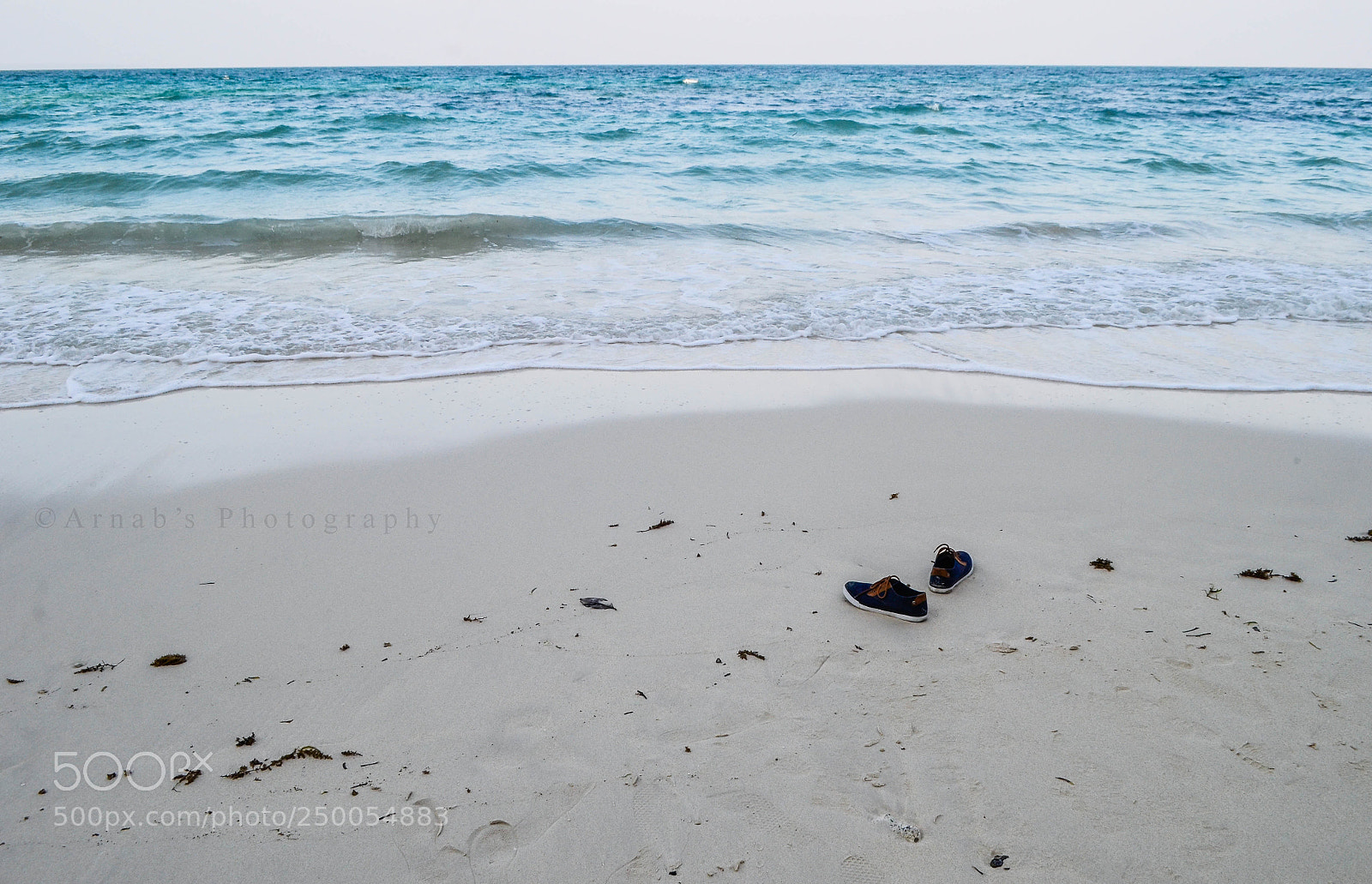 Nikon D5100 sample photo. Left alone photography
