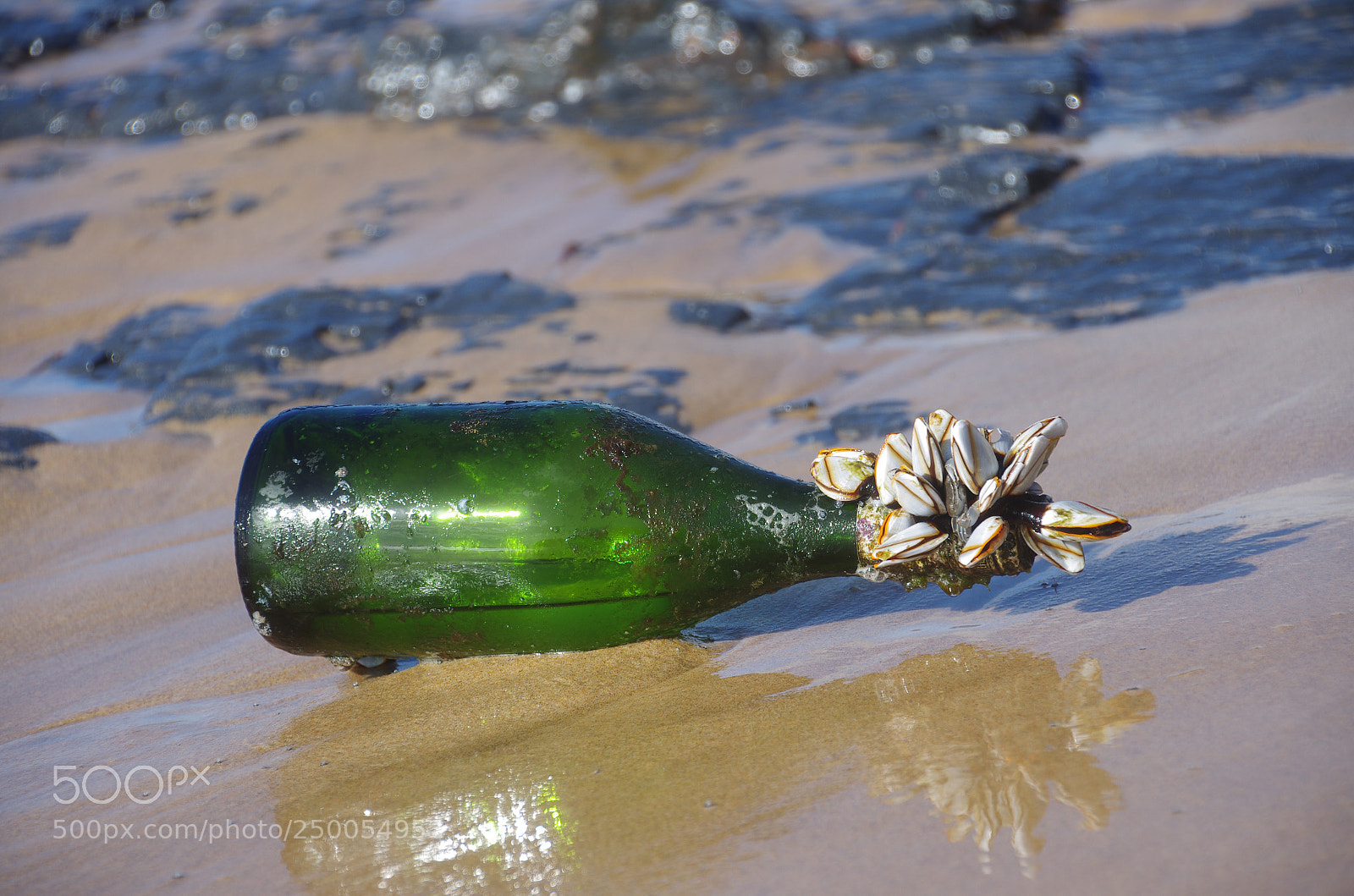 Pentax K-5 sample photo. Untitled photography