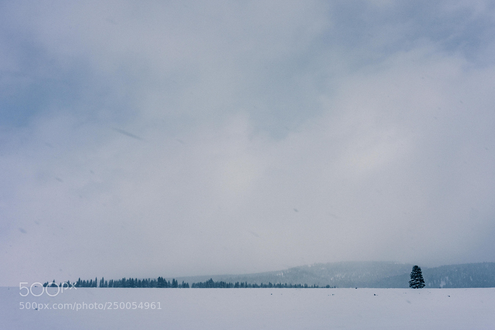 Sony a7R III sample photo. Fresh air photography