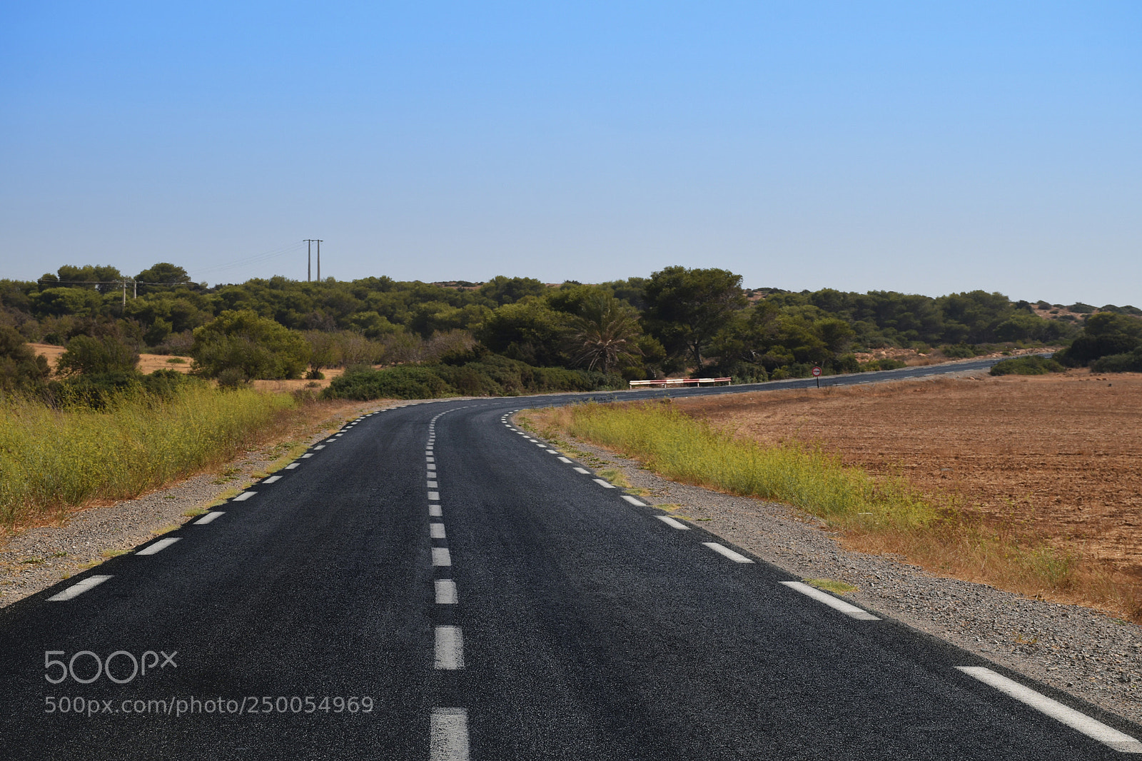 Nikon D5500 sample photo. Take the road photography