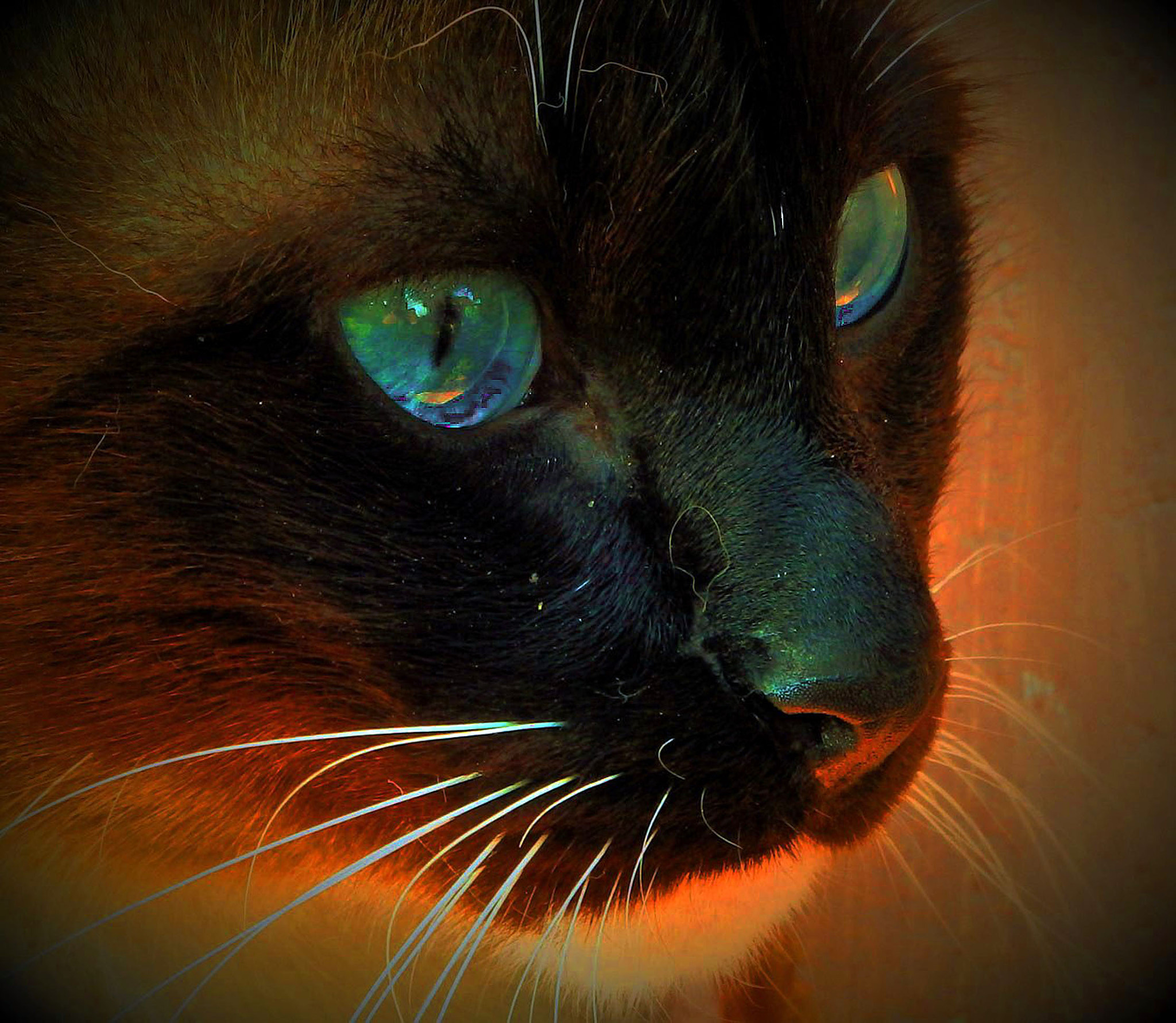 Olympus SP-100EE sample photo. Mirada cristalina photography