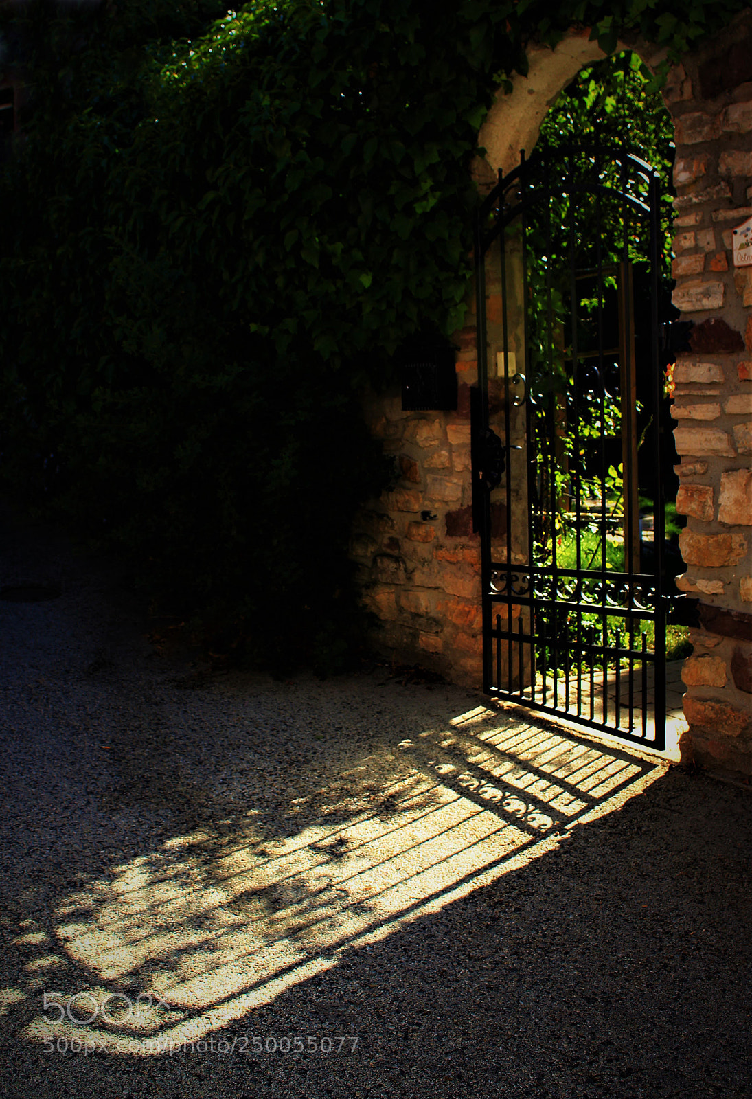 Canon EOS 700D (EOS Rebel T5i / EOS Kiss X7i) sample photo. Garden of dreams photography