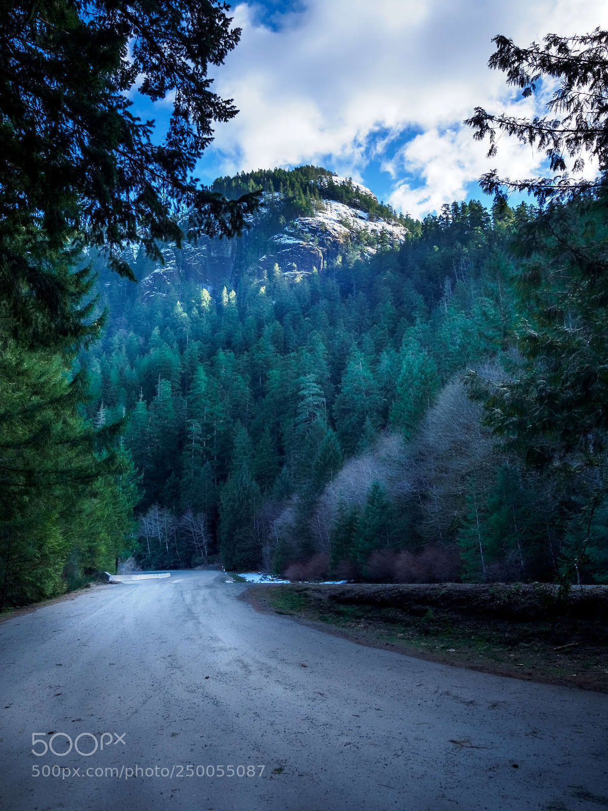 Olympus OM-D E-M1 Mark II sample photo. Road to mt arrowsmith photography