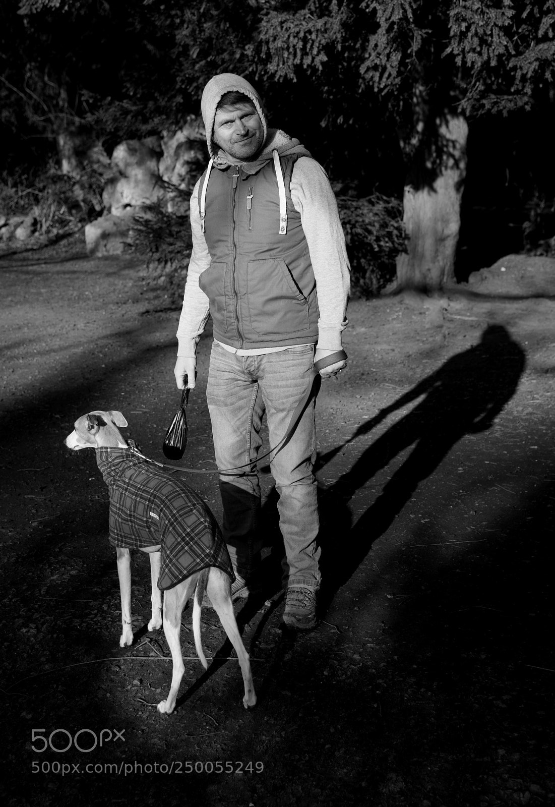 Nikon D810 sample photo. Dog bag photography