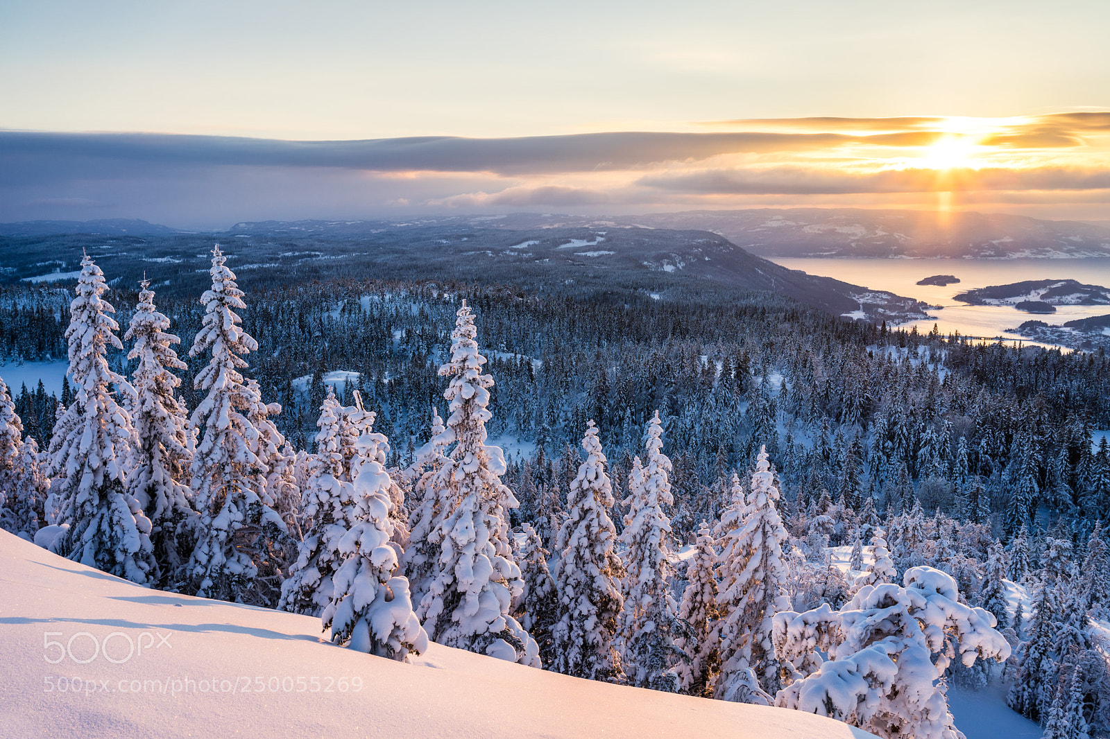 Sony a7 sample photo. Winter wonderland photography