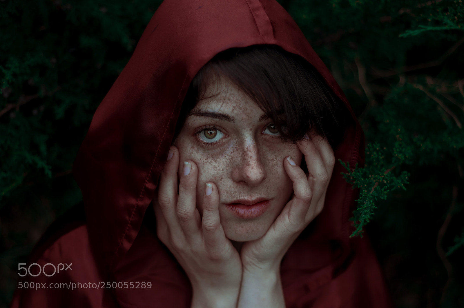 Nikon D90 sample photo. Red riding hood photography
