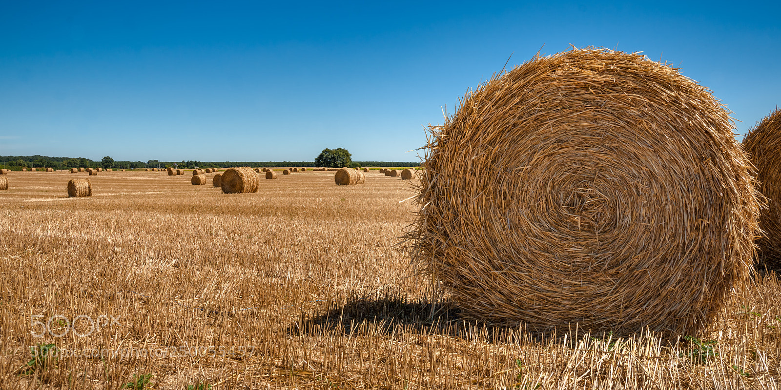 Sony Alpha DSLR-A900 sample photo. Straw bales at the photography