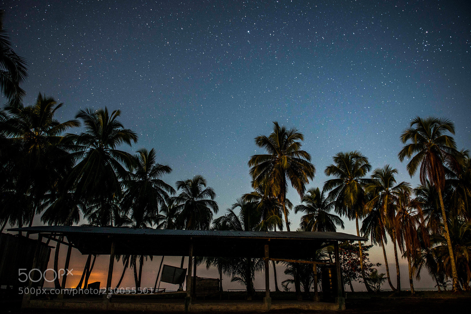 Nikon D800 sample photo. Playa verde photography