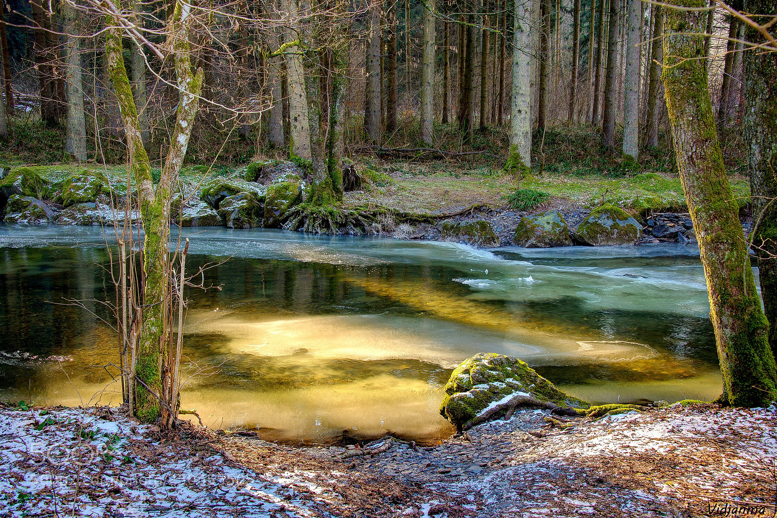 Nikon D610 sample photo. Cold creek photography