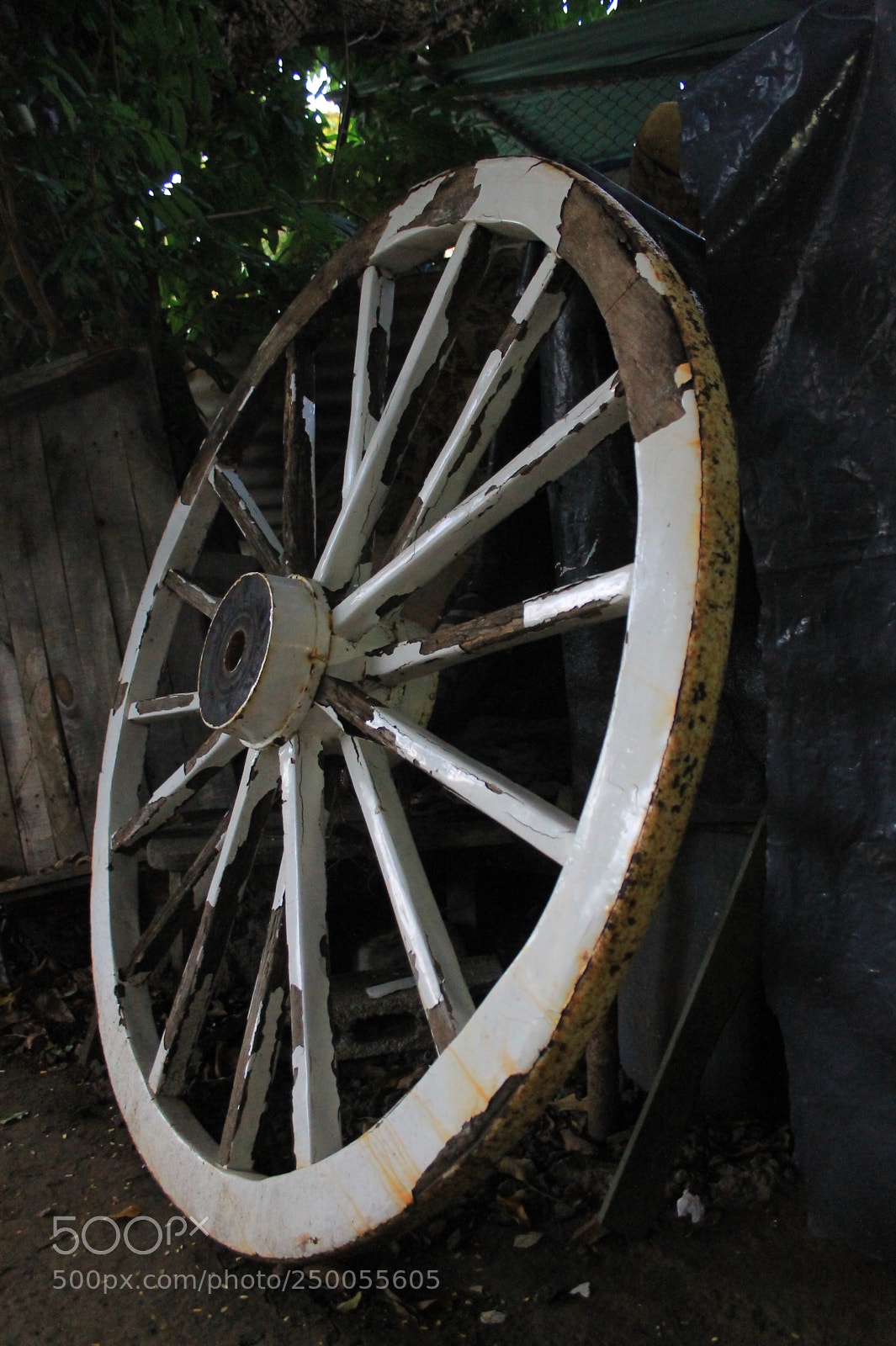 Canon EF-S 18-55mm F3.5-5.6 II sample photo. On old wheel photography