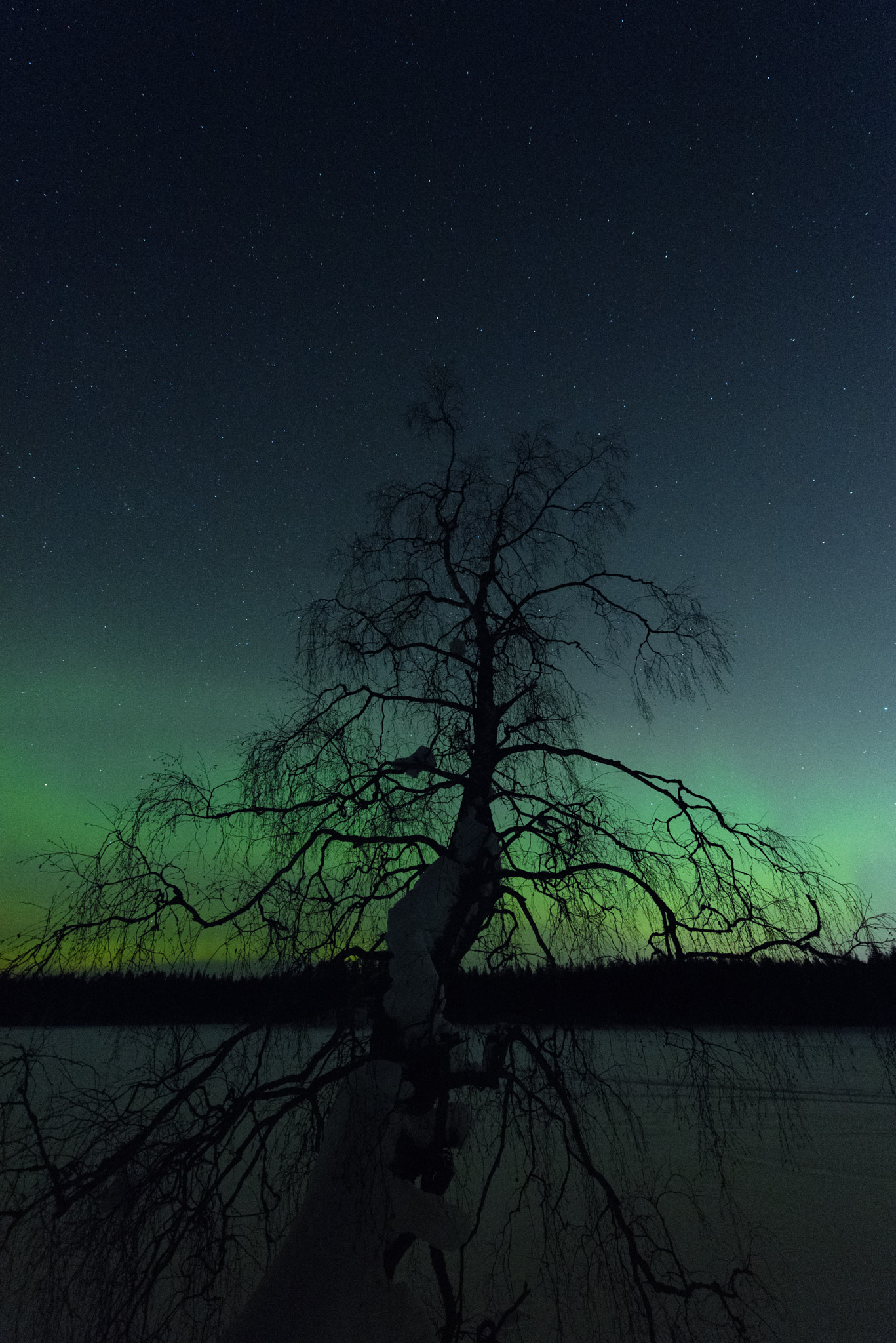 Nikon D810A sample photo. Northern lights photography