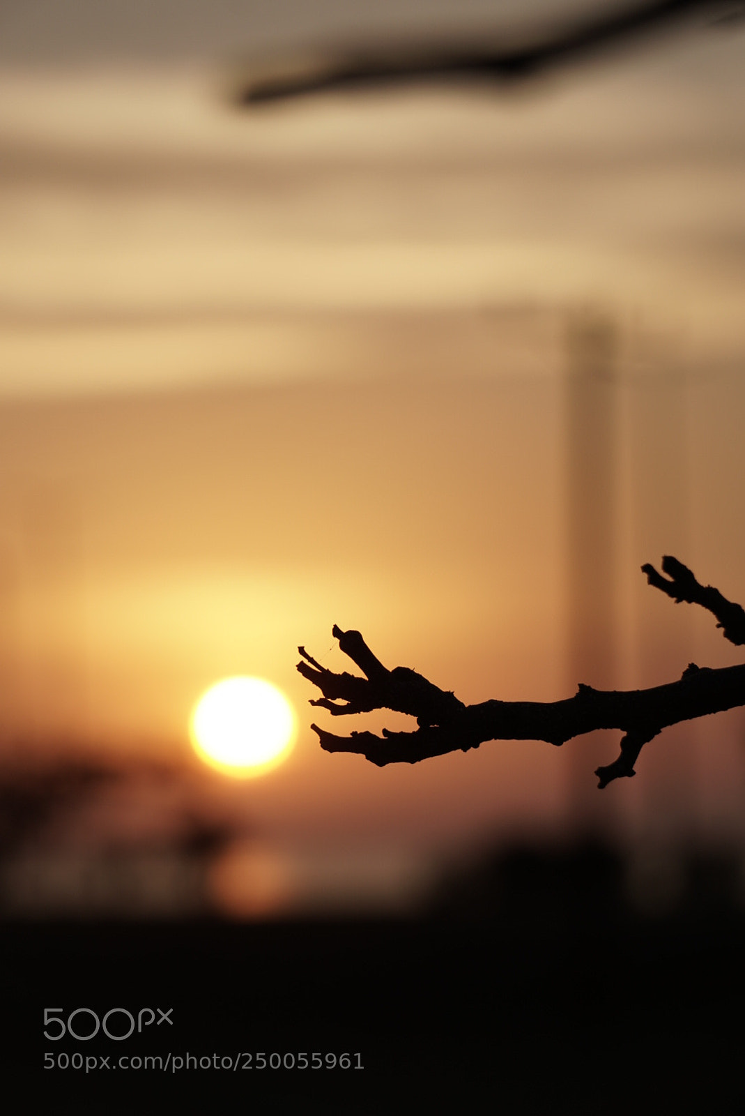 Sony a6000 sample photo. Reaching photography