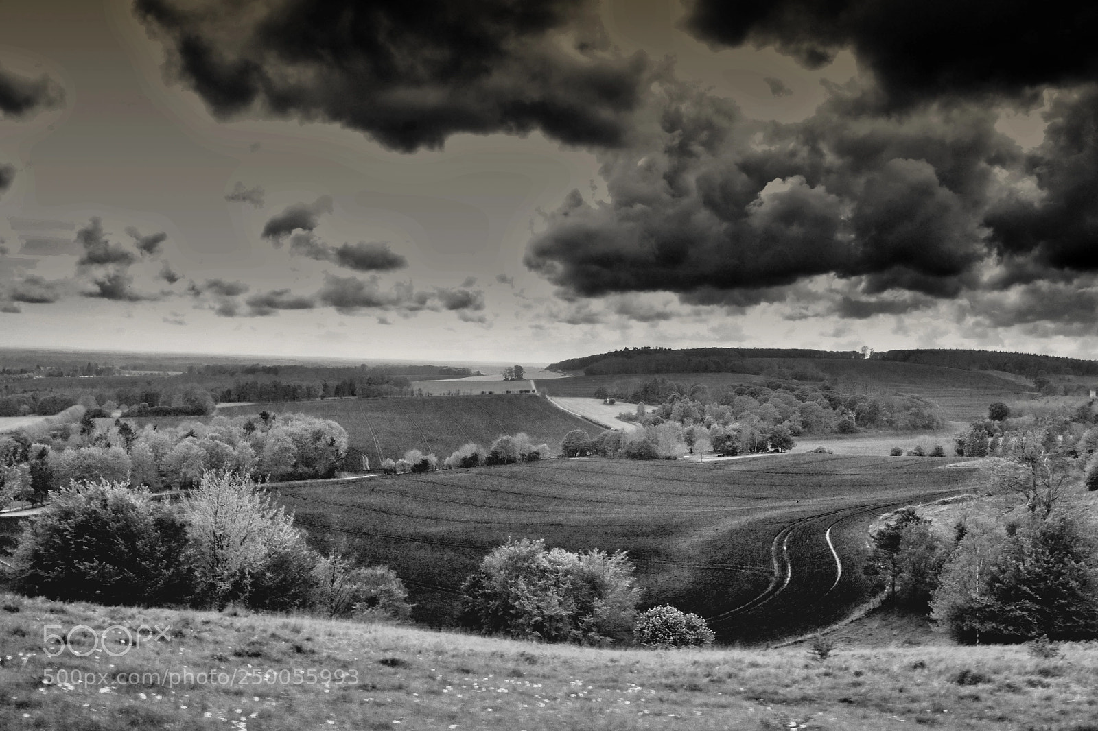 Nikon D3100 sample photo. Ashford in black & white photography