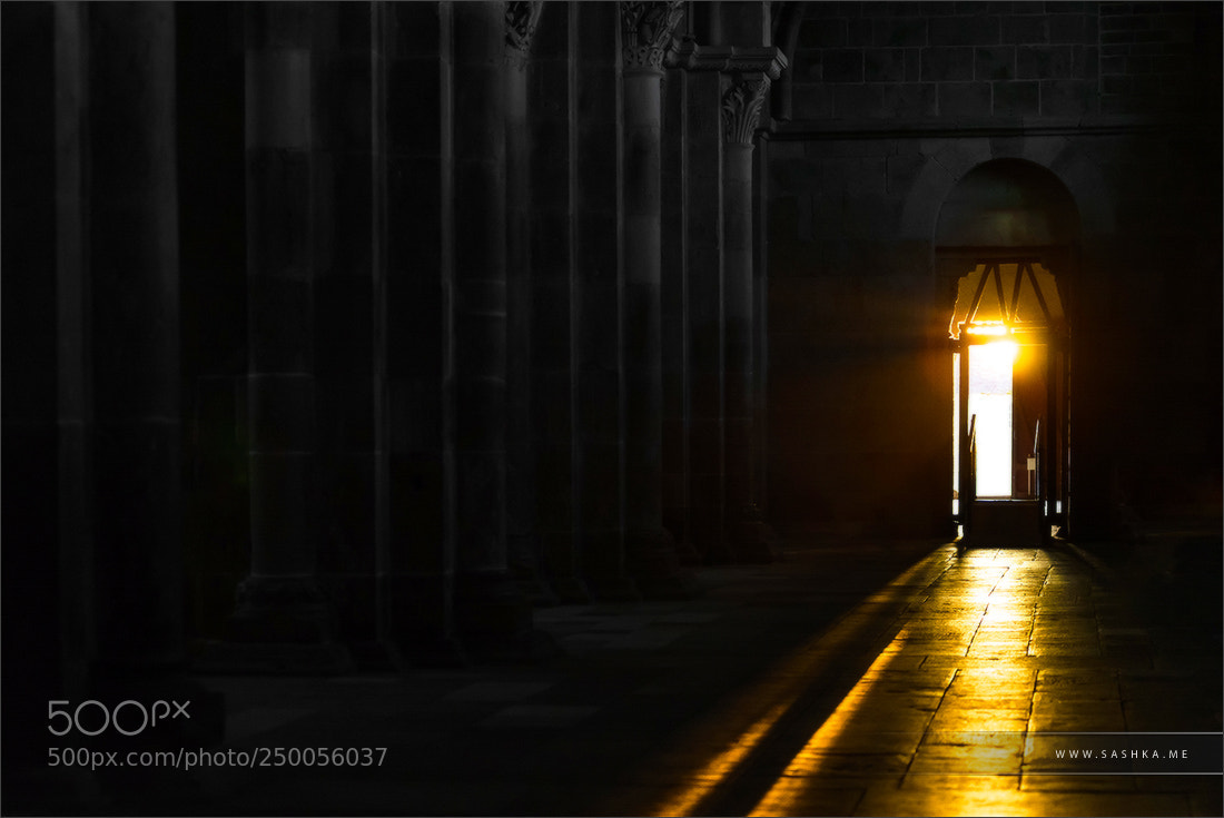 Sony a99 II sample photo. Lightway photography