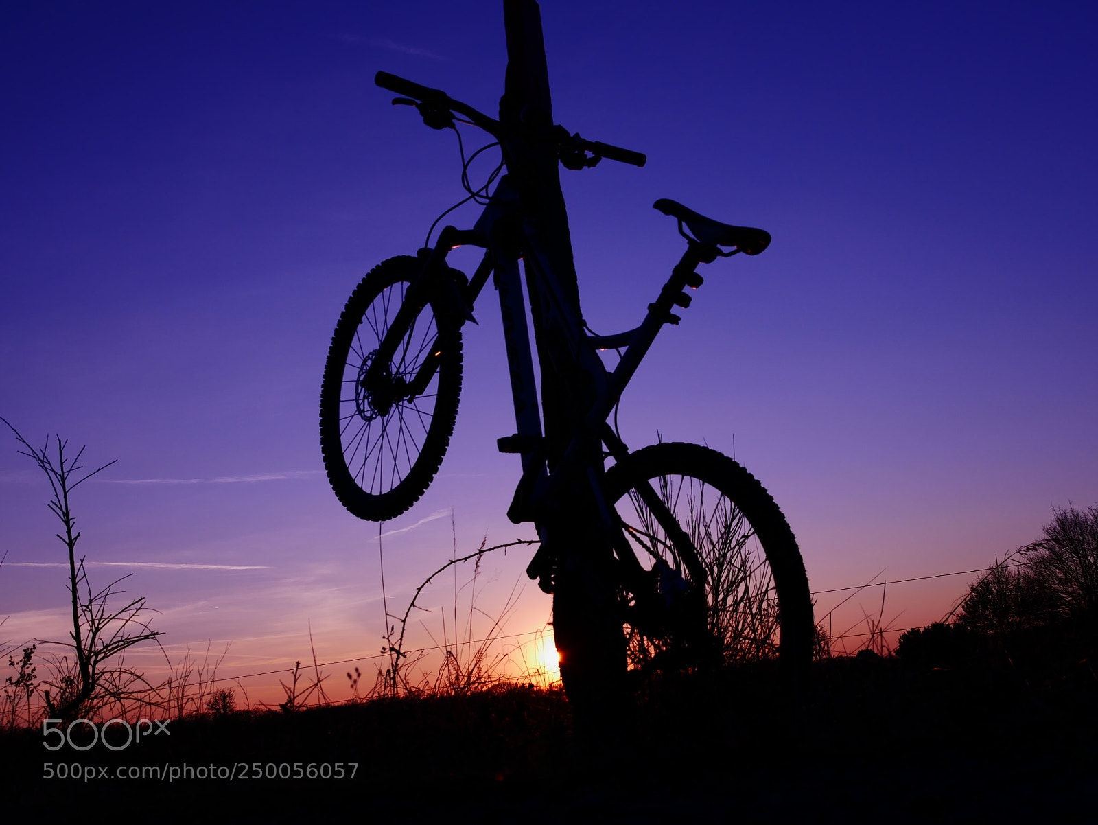 Panasonic DMC-G81 sample photo. My bike photography