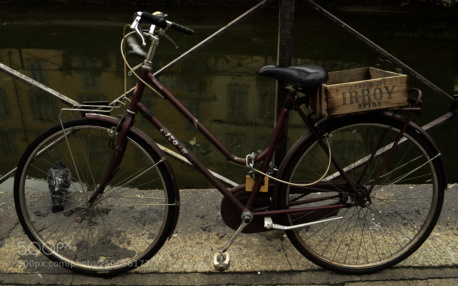 Nikon D5100 sample photo. Bici photography