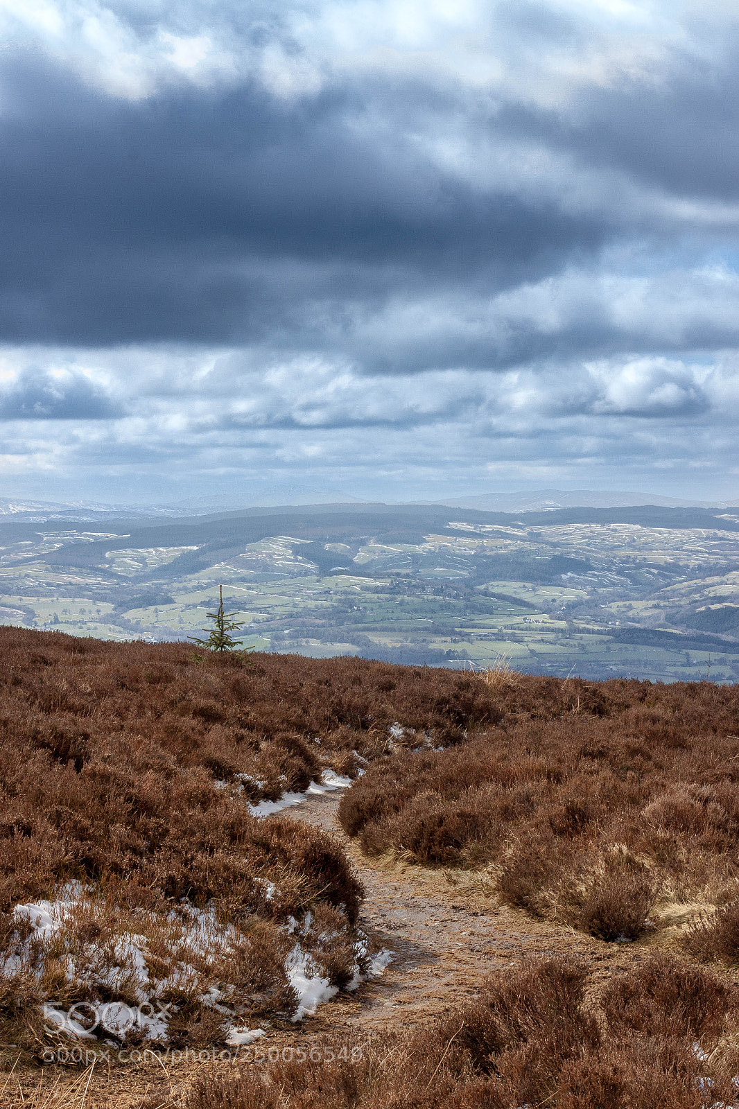 Canon EOS 50D sample photo. Moel famau photography