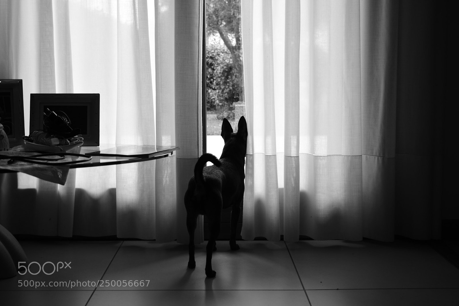 Nikon D3400 sample photo. Light through the curtains photography