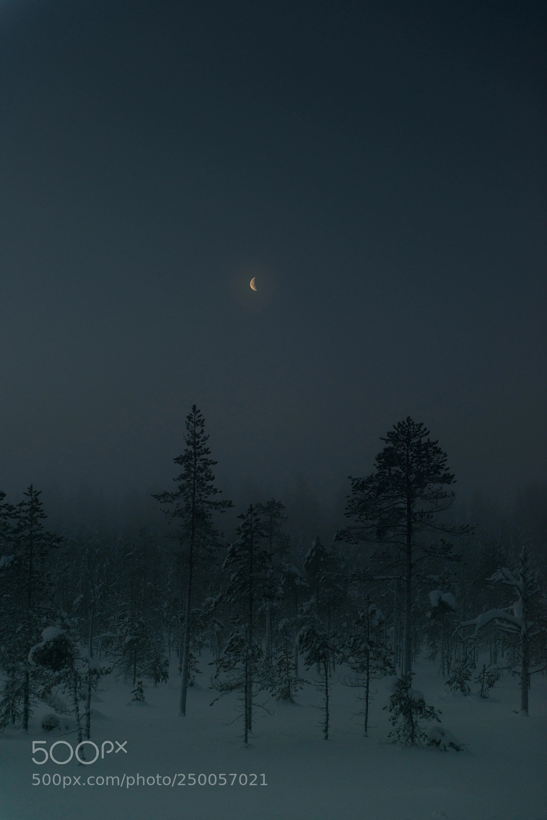 Nikon D800E sample photo. Early morning in northern photography