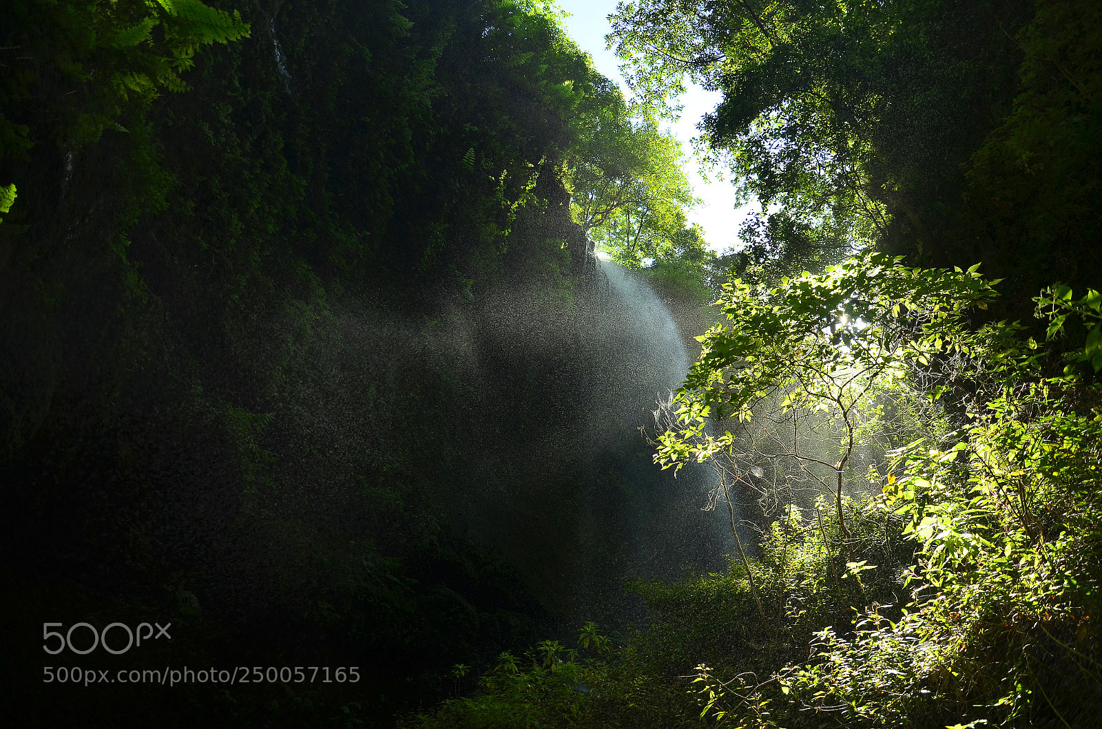 Nikon D5100 sample photo. Sonnendunst photography