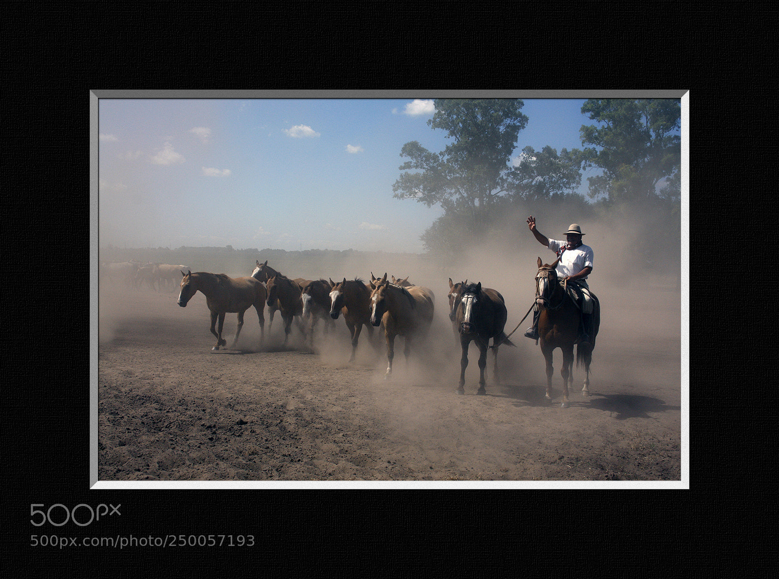 Canon EOS 40D sample photo. Argentine cowboy photography