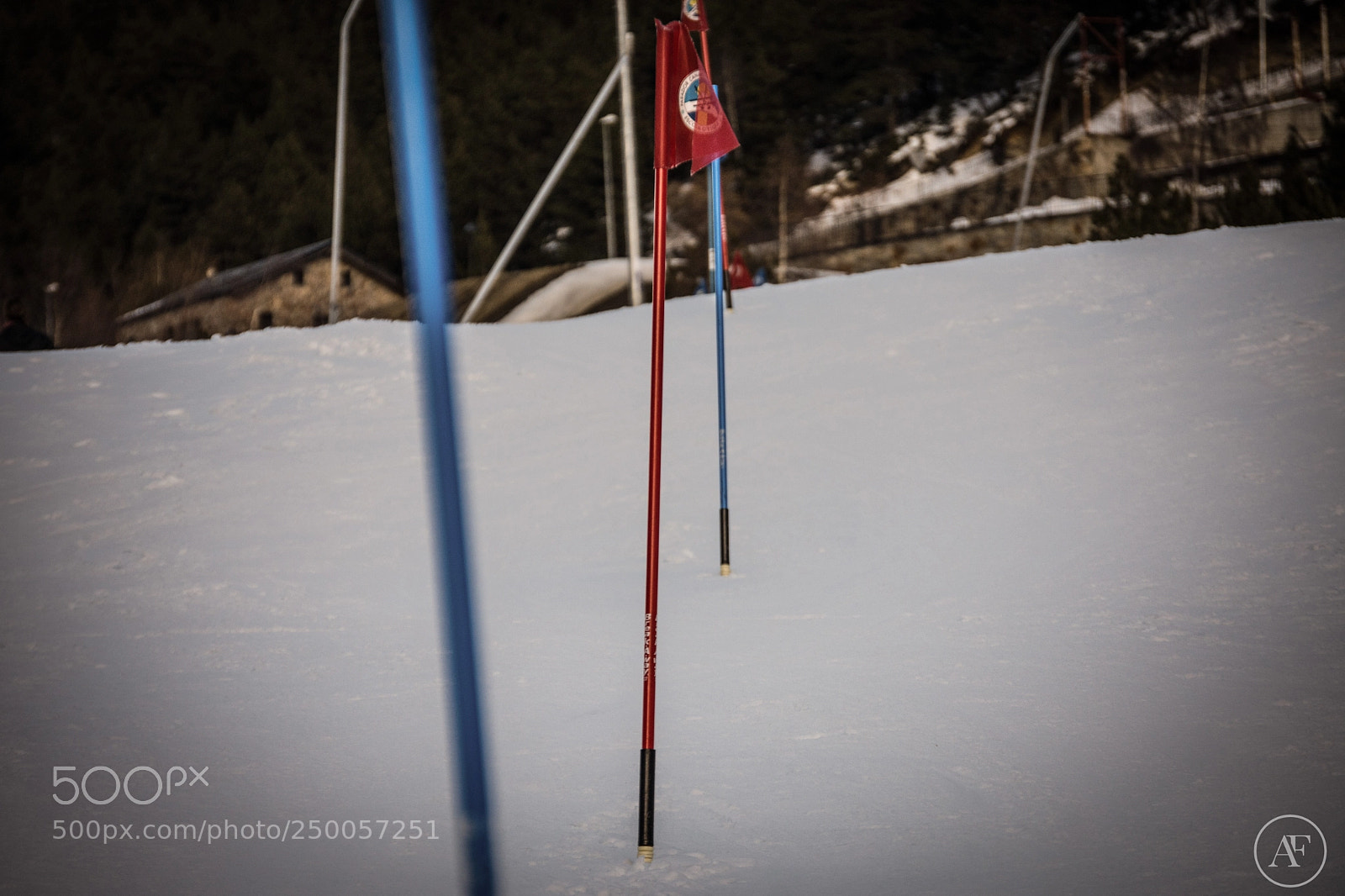 Nikon D7200 sample photo. Slalom photography