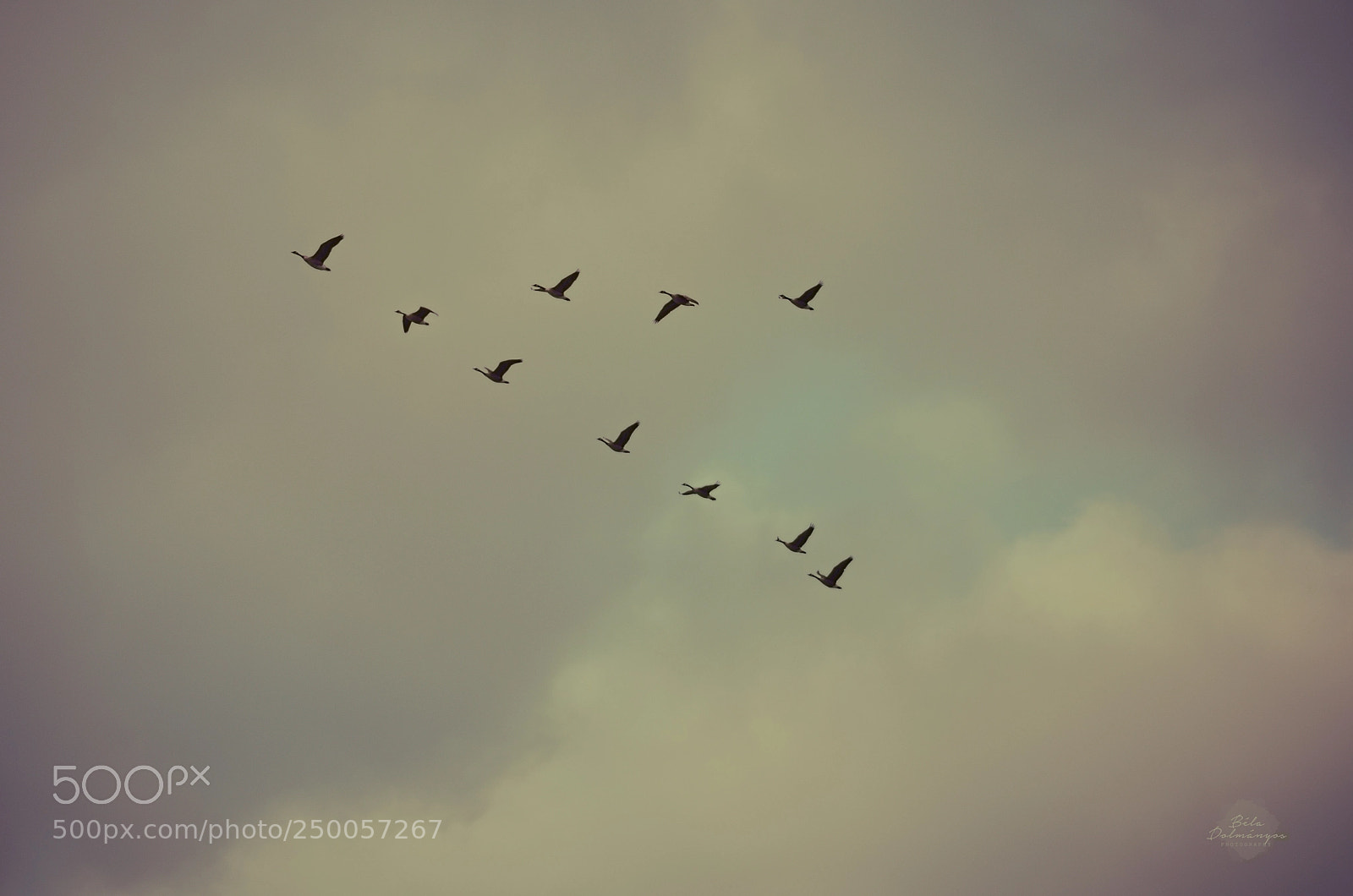 Nikon D7000 sample photo. Formation photography